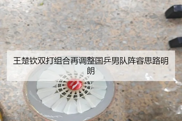 王楚钦双打组合再调整国乒男队阵容思路明朗